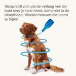 Beaphar Fiprotec Anti Teken- & Vlooiendruppels Hond 40 - 60 kg - 24.25 euro