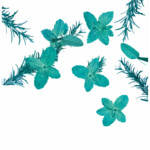 Kneipp Douche Goodbye Stress Mint-Rosemary - 5.93 euro