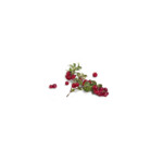 Garnier Loving Blends Cranberry Shampoo - 2.89 euro