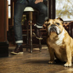 Bulldog Sensitive Aftershave Balsem - 7.74 euro