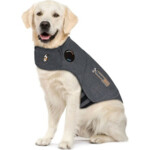 Thundershirt Voor Angstige Hond Maat