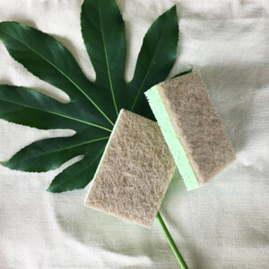Greenminds Schuursponzen - 2.85 euro