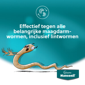 Mansonil All Worm Tasty Ontworming Tabletten Hond 2 stuks