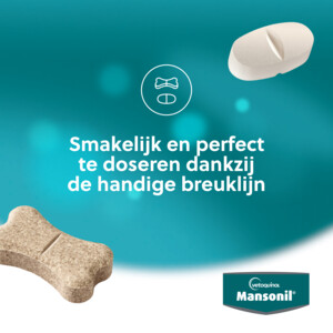 Mansonil All Worm Tasty Ontworming Tabletten Hond 2 stuks