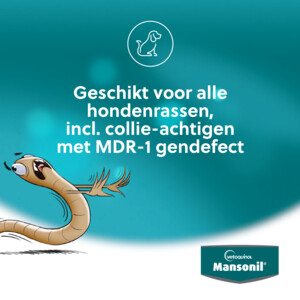 Mansonil All Worm Tasty Ontworming Tabletten Hond 2 stuks