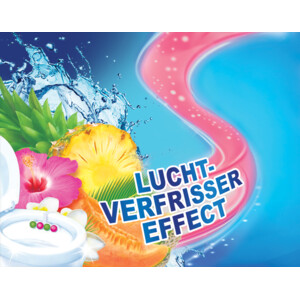 10x Witte Reus Toiletblok Kracht Actief Exotisch - 13.11 euro