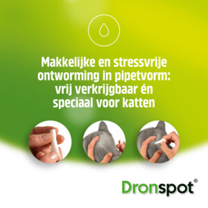 Dronspot Spot On Kat Ontwormingsdruppels Kat 5 - 8 kg 2 pipetten