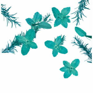 6x Kneipp Bodylotion Goodbye Stress - 53.72 euro