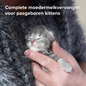 Beaphar Lactol Melk Kitten 250 gr