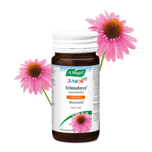 A.Vogel Junior Echinaforce met Vitamine C - 8.79 euro