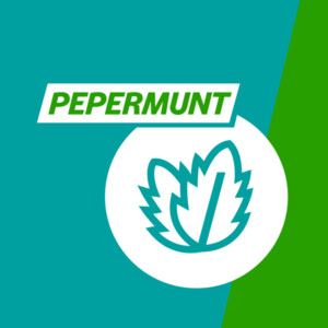 Gaviscon Gaviscon 250 mg Pepermunt Kauwtabletten - 9.95 euro