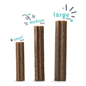 Edgard & Cooper Doggy Dental Sticks Appel - Eucalyptusolie 
