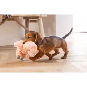 Beeztees Puppy Knuffel Flamingo Roze 30 x 21 x 5 cm