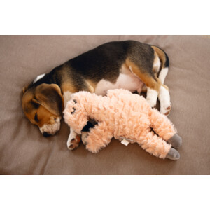 Beeztees Puppy Knuffel Flamingo Roze 30 x 21 x 5 cm