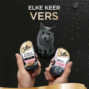 8x Sheba Perfect Portions Kattenvoer Natvoer Luxe Zalm Paté - 31.19 euro