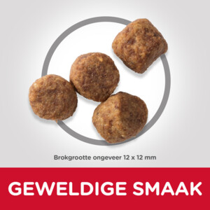 Hill's Science Plan Hondenvoer Mature Adult Medium Kip 2,5 kg