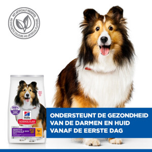 Hill's Science Plan Hondenvoer Adult Sensitive Stomach - Skin Medium Kip 2,5 kg