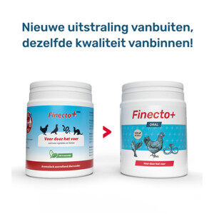 Finecto+ Oral Bloedluis