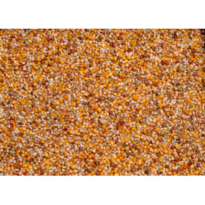 Beyers Original Sport 25 kg