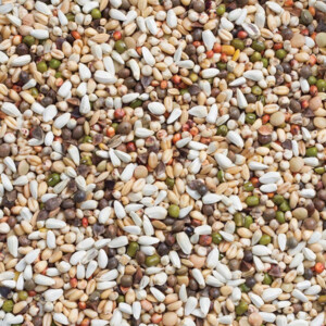 Deli Nature Grote Parkiet en Papegaai Kiemzaad Nummer 33 - 25.99 euro