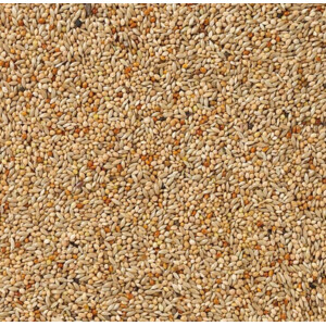 Deli Nature Basis Exoten Nummer 40 20 kg