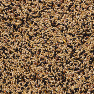 Deli Nature Kanaries Extra Nummer 53 20 kg