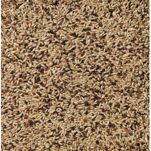Deli Nature Supreme Kanarie Nummer 55 20 kg