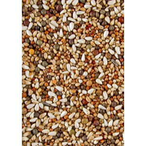 Deli Nature Dovix Kortbek 20 kg