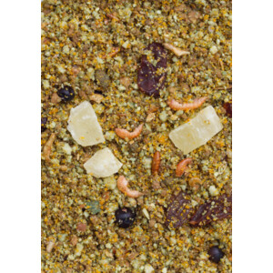 Deli Nature Vruchtenpaté 1 kg