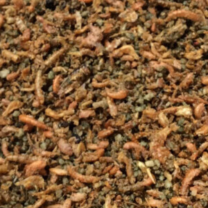 Deli Nature Insecten Paté Tovo 500 gr
