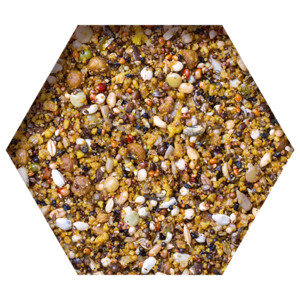 Beyers Growth Energy Moulting Mix - 23.05 euro