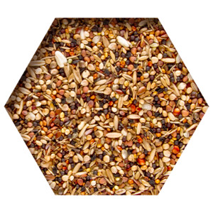 Beyers Moulting Support - 6.15 euro