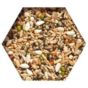 Beyers Trapping Mix 2,5 kg