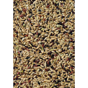 Deli Nature Premium Kanarie 1 kg
