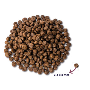 Renske Super Premium Puppy Hondenvoer Kip & Lam 600 gr
