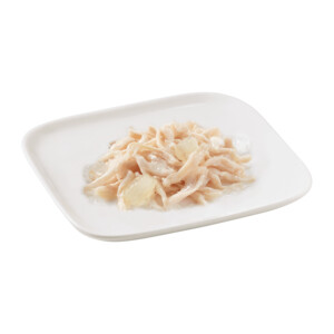 Schesir Hondenvoer Blik Jelly Kip en Aloë 150 gr