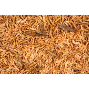 Deli Nature Chix Insectenmix