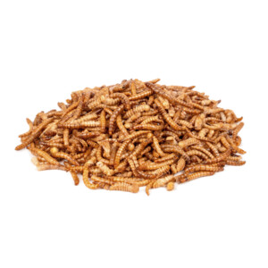 Deli Nature Chix Meelwormen 200 gr