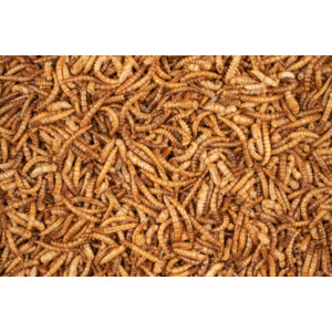 Deli Nature Chix Meelwormen 200 gr