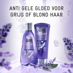Guhl Zilverglans - Shampoo 1x 250 ml & Haarmasker 1x 200 ml - Pakket - 19.13 euro