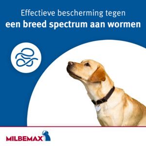 Milbemax Ontworming Kauwtabletten Hond 1 - 5 kg - 11.25 euro