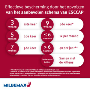 Milbemax Ontworming Tabletten Kat/Kitten 0,5 - 2 kg 2 tabletten