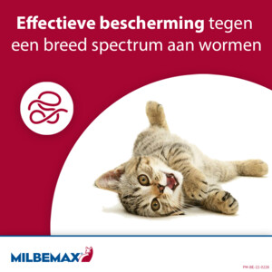 Milbemax Ontworming Tabletten Kat/Kitten 0,5 - 2 kg - 6.49 euro