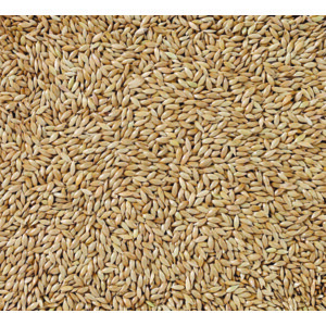 Deli Nature Witzaad Extra 86 - 37.29 euro