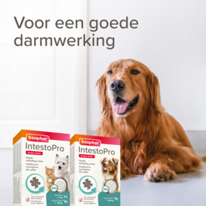 Beaphar IntestoPro Hond vanaf 20 kg 20 tabletten