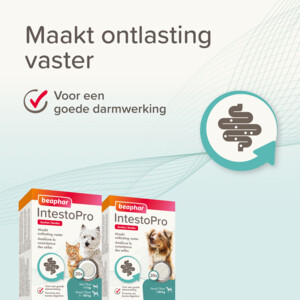 Beaphar IntestoPro Hond vanaf 20 kg 20 tabletten