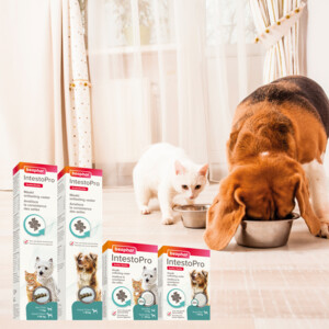 Beaphar IntestoPro Hond vanaf 20 kg 20 tabletten