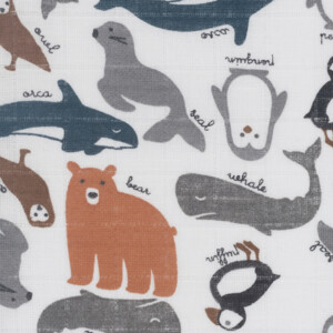 Jollein Hydrofiel Multidoek Small 70x70cm Polar - 9.95 euro