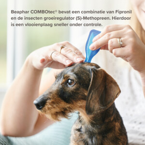 Beaphar Combotec Anti Vlooien en Teken Druppels Hond 10-20 kg - 15.37 euro