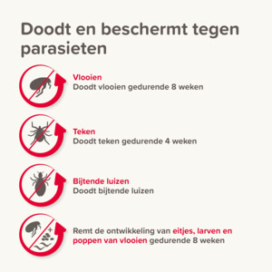 Beaphar Combotec Anti Teken- en Vlooiendruppels Hond 20-40 kg 2 pipetten